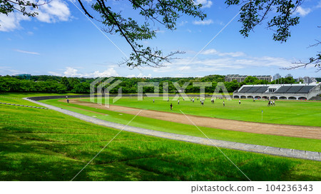 Sunny soccer field goal net 104236343