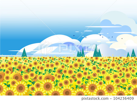 Sunflower field with summer clouds 104236409