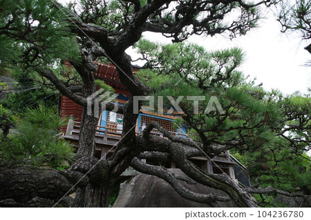 Suehiro Pine and Gomado of Onomichi Senkoji Temple Suehiro Pine and Gomado of Onomichi Senkoji Temple 104236780