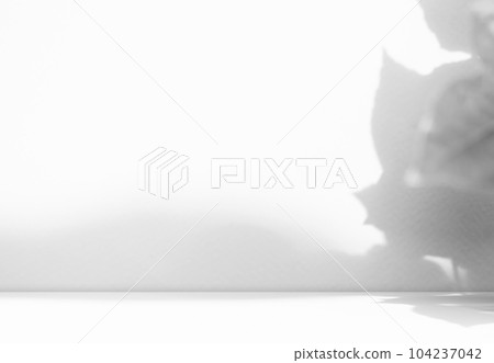 Shadow Studio Room Background,White Light Overlay Leaf on Wall Floor Table Product Backdrop,Abstract Reflection from Window,Podium Mockup Minimal Gray Cement Loft Tile Marble Concrete Space Counter. 104237042