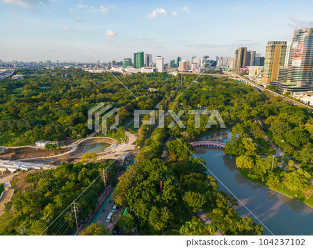 Green tree forest public park with city office building Green tree forest public park with city office building 104237102