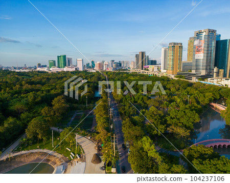 Green tree forest public park with city office building 104237106