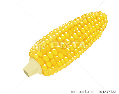 Corn vegetables icon illustration material vector Corn vegetables icon illustration material vector 104237188