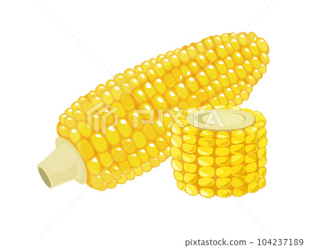 Corn sliced vegetables icon illustration material vector Corn sliced vegetables icon illustration material vector 104237189