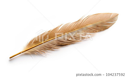 Bird feather on white background. Beautiful bird plumage or wing element, isolated smooth feather. Generated AI. Bird feather on white background. Beautiful bird plumage or wing element, isolated smooth feather. Generated AI. 104237592