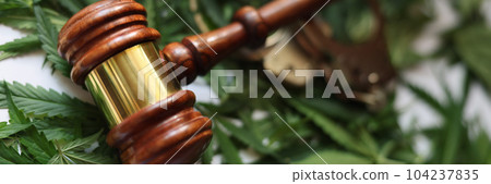 Judge wooden gavel and handcuffs on green marijuana leaves closeup 104237835