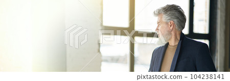 Stylish confident mature man looking aside while posing, leaning 104238141