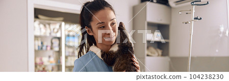 Asian veterinarian intern in blue uniform hugs tabby cat at table in clinic 104238230