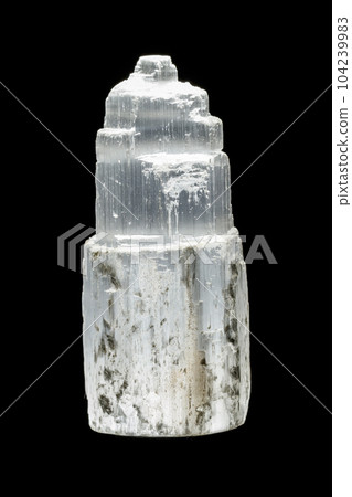 Macro mineral stone Selenite Gypsum on a black background 104239983