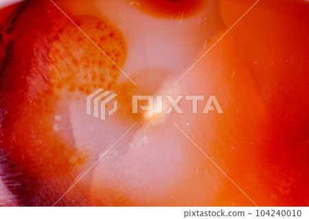 Macro mineral stone Carnelian on white background 104240010