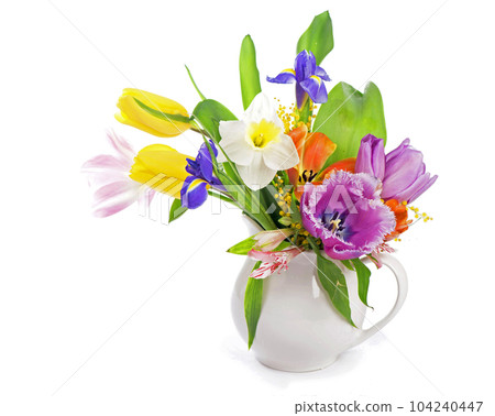 spring flowers, daffodils, tulips, hyacinths, irises and mimosa isolated on a white background spring flowers, daffodils, tulips, hyacinths, irises and mimosa isolated on a white background 104240447