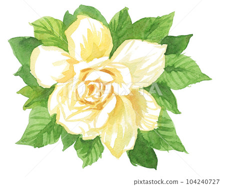Yuko flower drawn by watercolor23623pix7 Yuko flower drawn by watercolor23623pix7 104240727