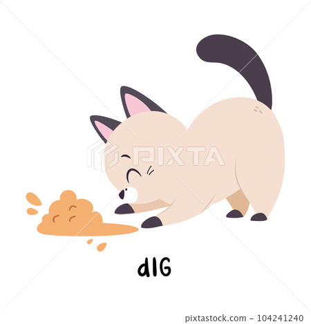 Funny Cat Dig Soil as English Verb for Educational Activity Vector Illustration 104241240