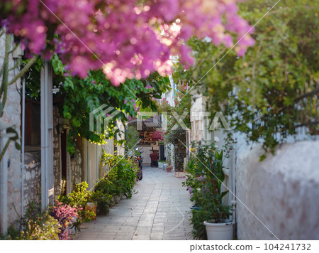 Blooming bougainvillea, streets of the old town of Bodrum, Turkey Blooming bougainvillea, streets of the old town of Bodrum, Turkey 104241732