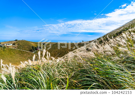 秋日晴朗的大室山火山口5，靜岡縣伊東市 104242153