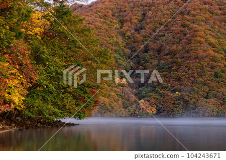 Scenery of autumn leaves in the morning mist on the shore of Lake Chuzenji 104243671