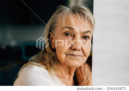 Senior portrait, Grandmother using smart phone at home Senior portrait, Grandmother using smart phone at home 104243873