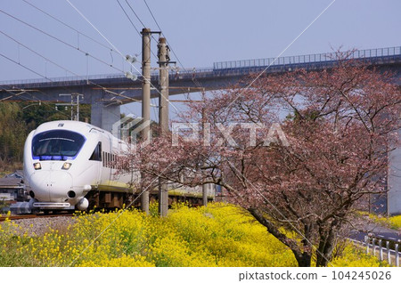 油菜花、櫻花、特快索尼克 油菜花、櫻花、特快索尼克 104245026