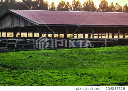 Dusk draws near Koiwai Farm, a nationally registered tangible cultural property cowshed Dusk draws near Koiwai Farm, a nationally registered tangible cultural property cowshed 104245526