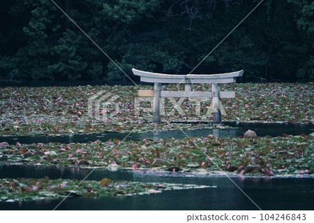 滋賀縣甲賀市弁天池的下沉鳥居 104246843