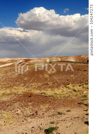 Rugged and Desolate Landscape Petrified Forest Arizona Rugged and Desolate Landscape Petrified Forest Arizona 104247273