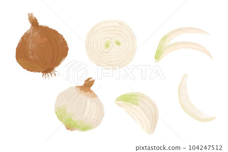水彩風格洋蔥插圖 水彩風格洋蔥插圖 104247512