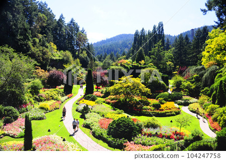 加拿大布查特花園美麗的夏日花園下沉花園 104247758