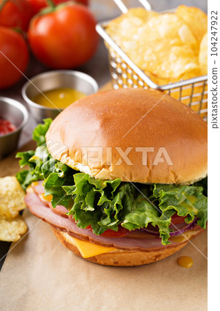 Ham sandwich with american cheese Ham sandwich with american cheese 104247922