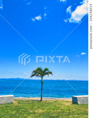 中海路路公園是您駕車途中想要停下來的地方。沖繩縣宇流麻市。 104248014