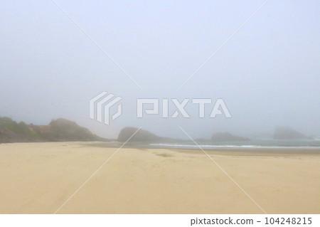 Foggy morning on the Pacific coast, landscape. 104248215