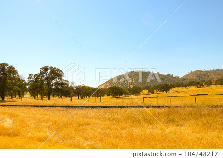Beautiful small mountains in sunny California, landscape 104248217