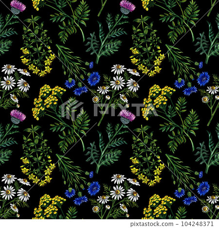 Seamless pattern with wild flowers. Watercolor hand drawn illustration. On a black background. For design solutions for backgrounds, packaging, labels and textiles. For banners, flyers and postcards. Seamless pattern with wild flowers. Watercolor hand drawn illustration. On a black background. For design solutions for backgrounds, packaging, labels and textiles. For banners, flyers and postcards. 104248371