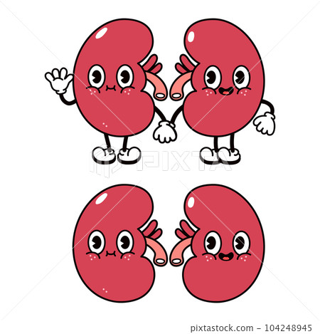Kidneys waving hand character. Vector hand drawn traditional cartoon vintage, retro, kawaii character illustration icon. Isolated on white background. Kidneys character concept 104248945