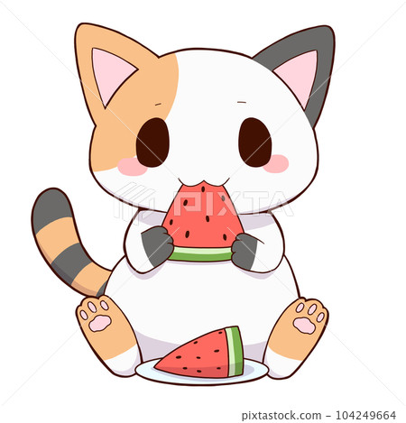 calico cat and watermelon 104249664