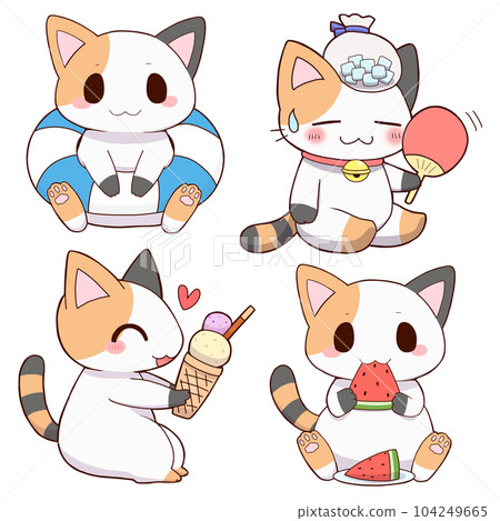 calico summer set 104249665