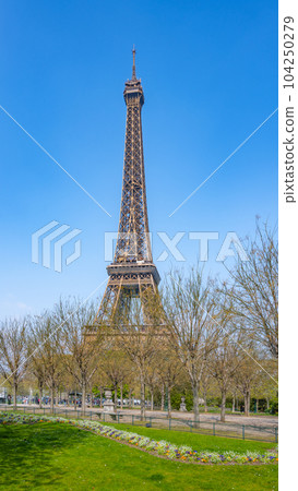 Eiffel Tower on sunny spring day. View from green lawn on Champs de Mars. Paris, France 104250279