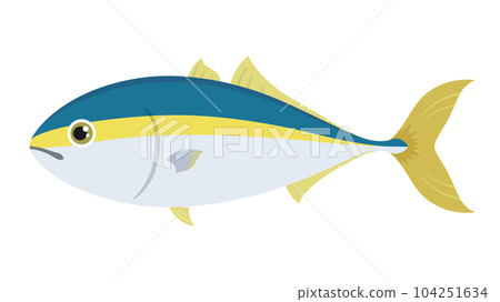 Illustration of cute yellowtail 104251634
