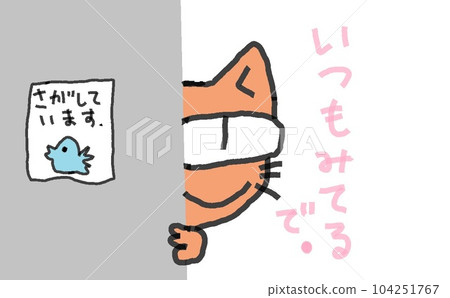 Look at the cat with big eyes 104251767