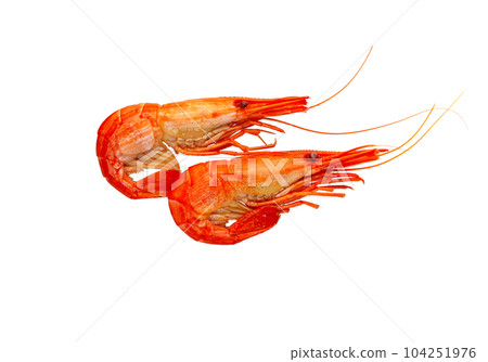 Cooked prawn or shrimp Cooked prawn or shrimp 104251976
