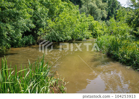 Smotrych river in canyon. Kamianets-Podilskyi, Ukraine. 104253913