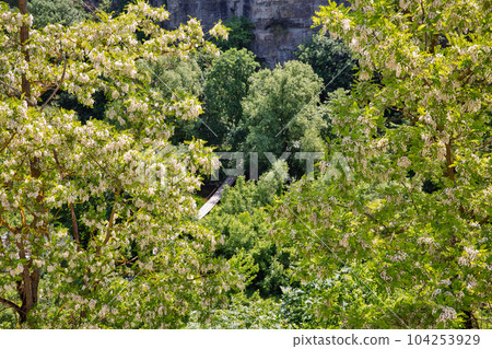 Smotrytsky canyon in Kamianets-Podilskyi, Ukraine. Smotrytsky canyon in Kamianets-Podilskyi, Ukraine. 104253929