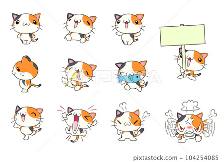 各種姿勢的可愛貓咪（三色貓） 104254085