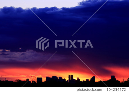 晨光東京都廳舍 104254572