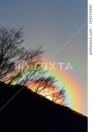 花粉燈環 104254985