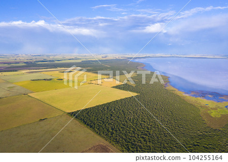 Wheat field ready to harvest, in the Pampas plain, La Pampa, Argentina. Wheat field ready to harvest, in the Pampas plain, La Pampa, Argentina. 104255164