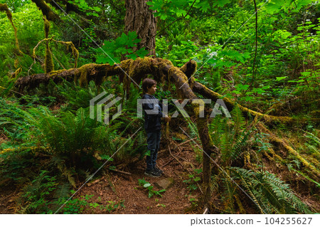 Boy Exploring Mossy Tree Branch in Lacamas Park Boy Exploring Mossy Tree Branch in Lacamas Park 104255627