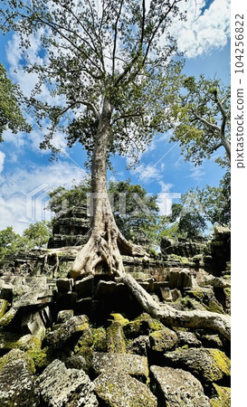 Ruins of Cambodia Ruins of Cambodia 104256822