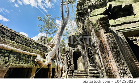 Ta Prohm Ruins Ta Prohm Ruins 104256829