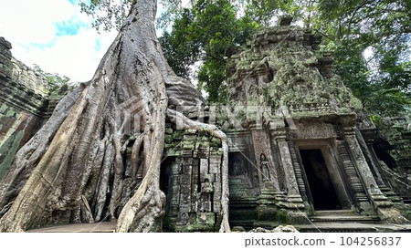 Ta Prohm Ruins Ta Prohm Ruins 104256837