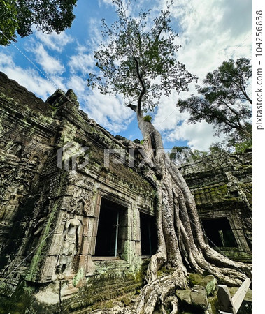 Ta Prohm Ruins 104256838